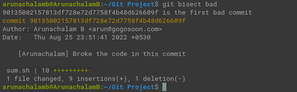 Spot The Culprit Commit With Git Bisect - GoGoSoon